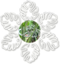 Pflanzenstütze durchsichtig Staudenhalter Monstera Hortensien Rankhilfe Pflanzen