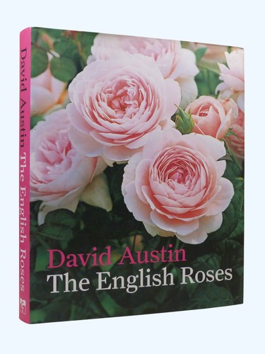 David austin signed - david, the