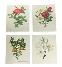 Puppenhaus Florale Gemälde