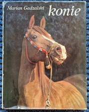 ARABER PFERDE Marian Gadzalski