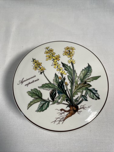 Botanica villeroy boch - &,