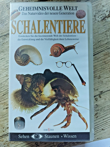 Geheimnisvolle welt das - geheimnisvolle,