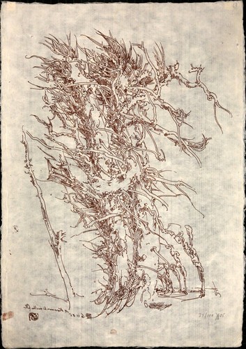 Horst janssen - horst,