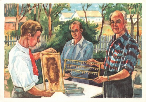 Bienenzucht aller welt - in,