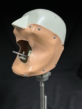 Phantomkopf Frasaco Zahnmedizin