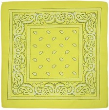 BANDANA PAISLEY HALSTUCH BIKER