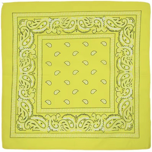 Bandana paisley halstuch biker - bandana,
