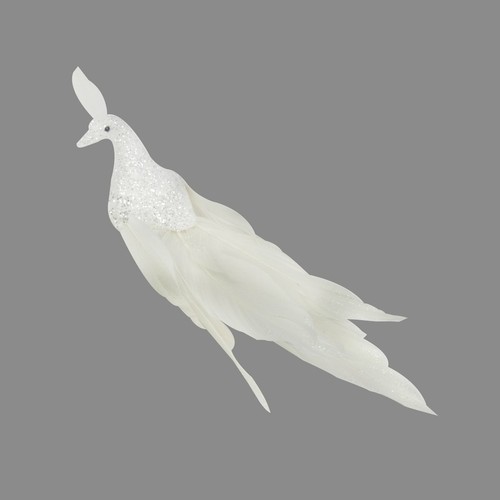 Weißer federpfau - federpfau, x