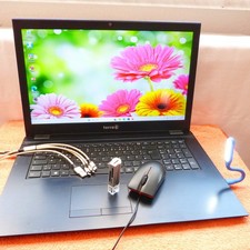 Terra 1715 pro - 17zoll, fullhd