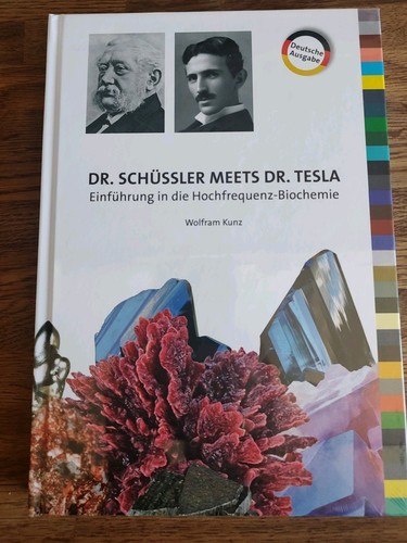 Schüssler meets tesla - schüssler,
