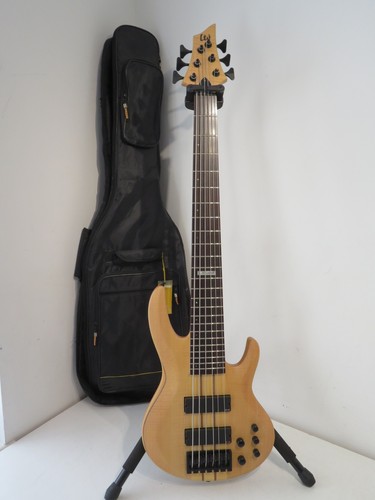 2009 esp ltd - b-1006, deluxe