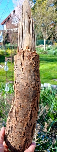 Schön geformtes und - schön,