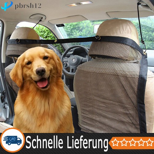 Hunde haustier - hunde,