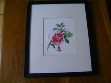 Blumenbild original signiert