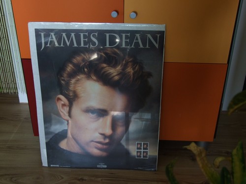 Poster portrait james dean - poster,