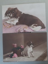 2xAK Hund mit vormals