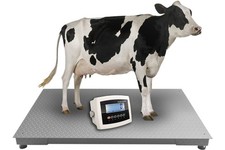Platform Scales 1.2x2.2m 2t