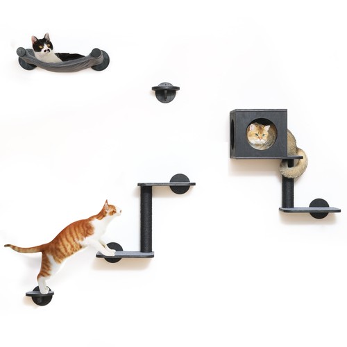 Kletterwand für katzen - für,