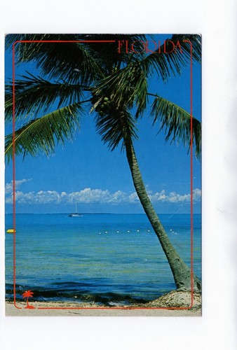 Ansichtskarte florida usa - /,
