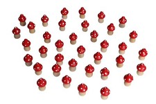 12 STK Fliegenpilze 2,2cm Pilze Holz Fliegenpilz Glücksbringer Deko Glückspilze