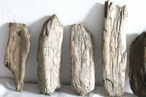 Schwemmholz treibholz 7 - treibholz,