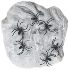 1 Spinnennetz + 6 eklige