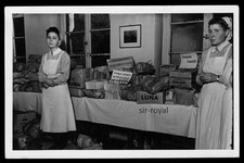 DRK Krankenschwester Norwegen Europahilfe Carepakete Tuberkulose  Foto-AK 14x9cm