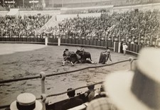 Männer Stierkampf Stier Arena Matador Torero Picador Tribüne Bühne Spanien Foto