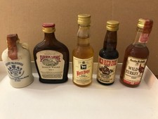 5 Flaschen Whisky Miniaturen