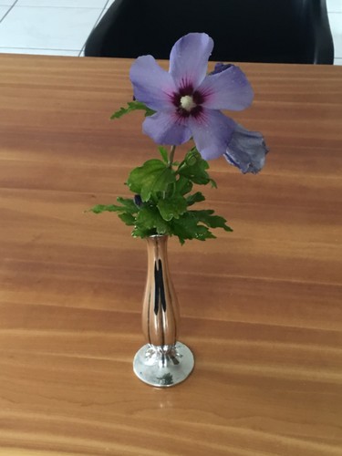 Vase blumenvase 835 er - blumenvase, in