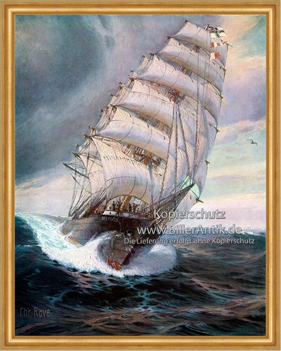 Graf luckners seeadler - luckners,