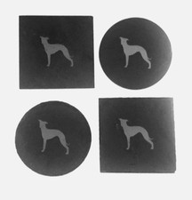 Italienische Windhund Schiefer