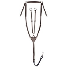 Waldhausen Braun WB Vorderzeug