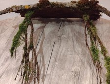 Rinde Unterstand Rain Forrest