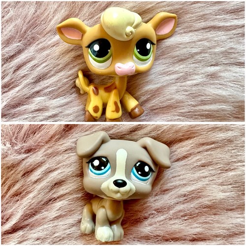 Lps littlest pet shop jack - pet,