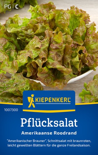 Pflücksalat amerikanischer - pflücksalat, *