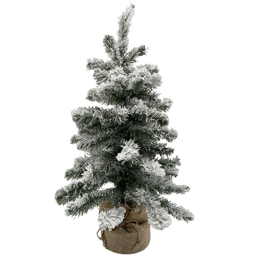 Tannenbaum grün - tannenbaum,