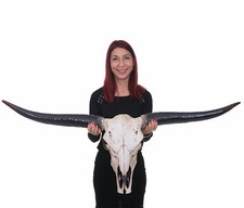 Deko Schädel 132cm HWC-A14, Stier Bulle Kopf  Polyresin Trophäe, natur