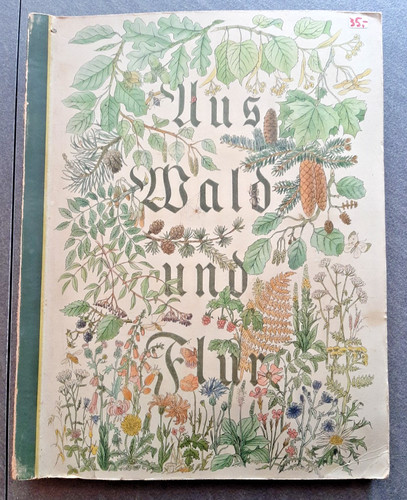 Aus wald und flur - wald,