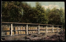 Bienenstand in der Heide