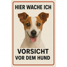 Jack Russell Terrier Hunde