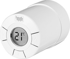 EBV Funk Stellantrieb heatapp