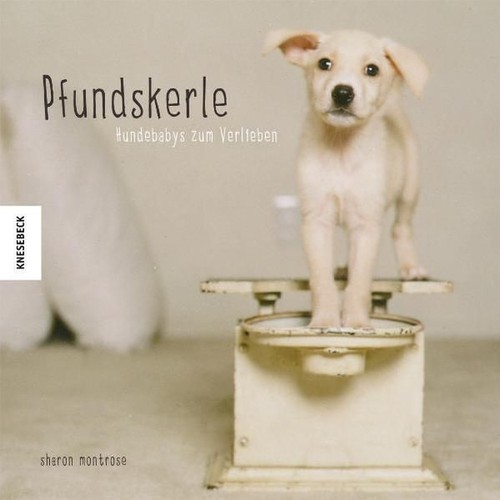 Pfundskerle hundebabys zum - pfundskerle:,