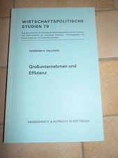 Kallfass Großunternehmen und Effizienz Kantzenbach VWL Industrieökonomik