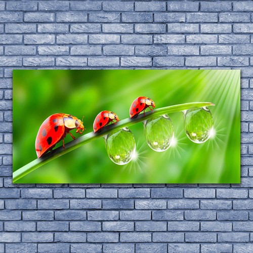 Acrylglasbilder wandbilder - acrylglasbilder,