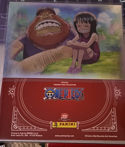 Panini one piece 25th - piece,