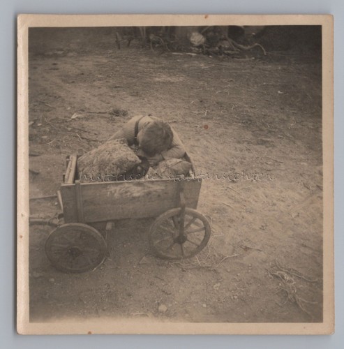 Junge mit bollerwagen - mit,