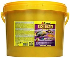 11 Liter Tropical Cichlid