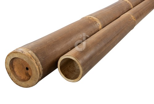 Bambuspfosten nigra bambusrohr - nigra,
