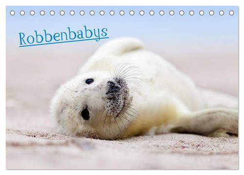 Robbenbabys tischkalender - robbenbabys, (tischkalender